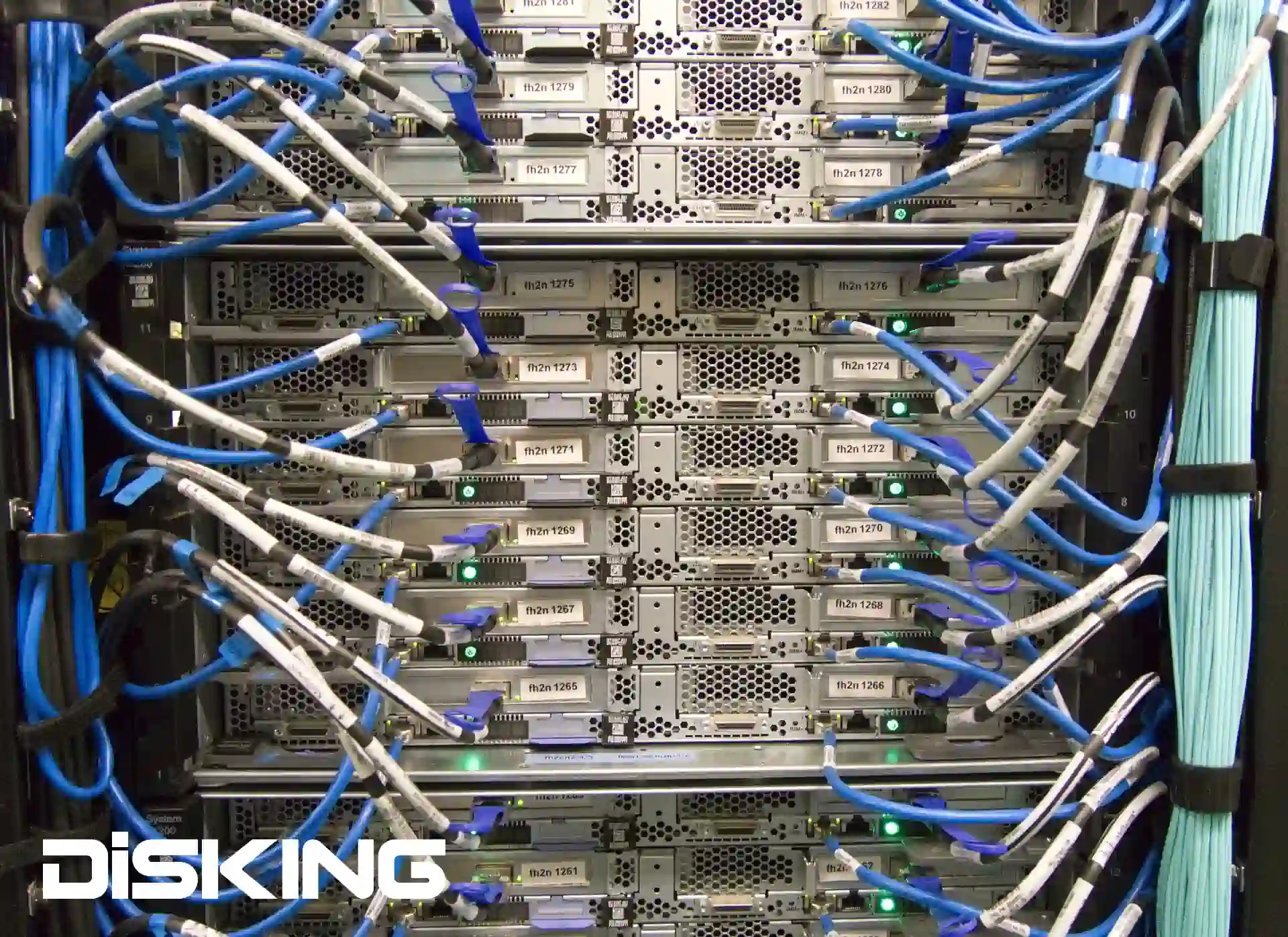 Server - Disking Support