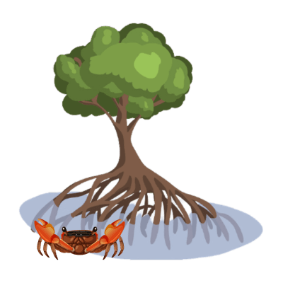 net zero