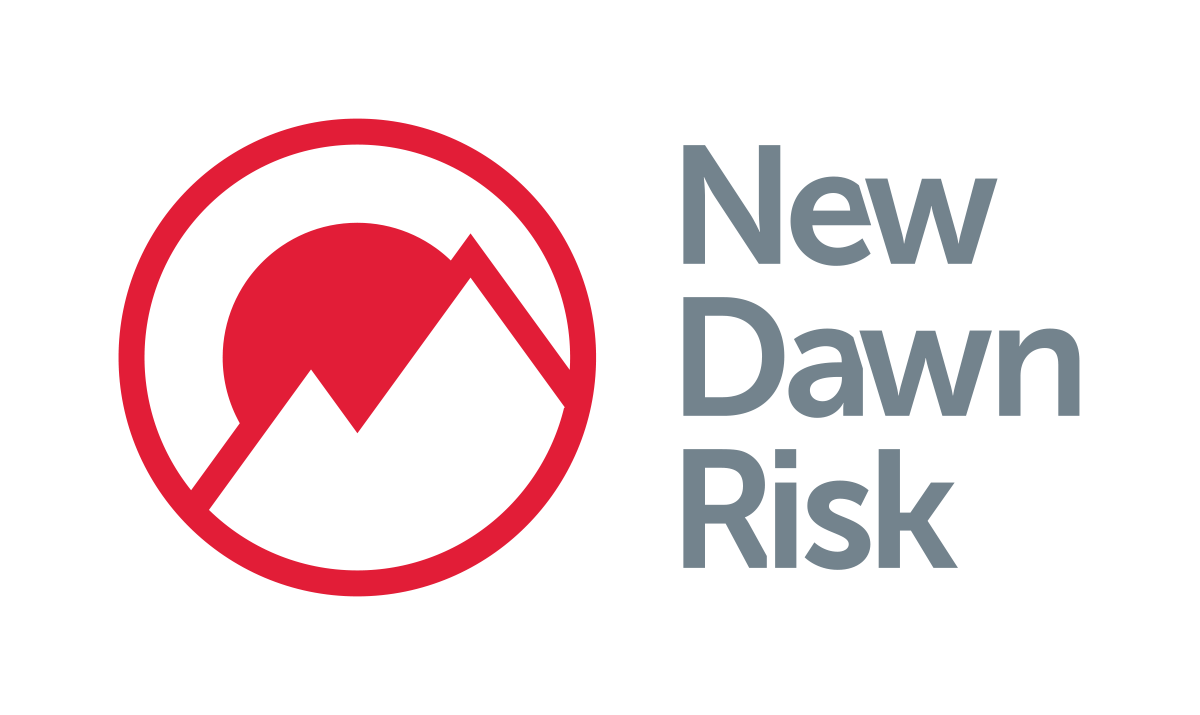 New Dawn Risk Logo Landscape