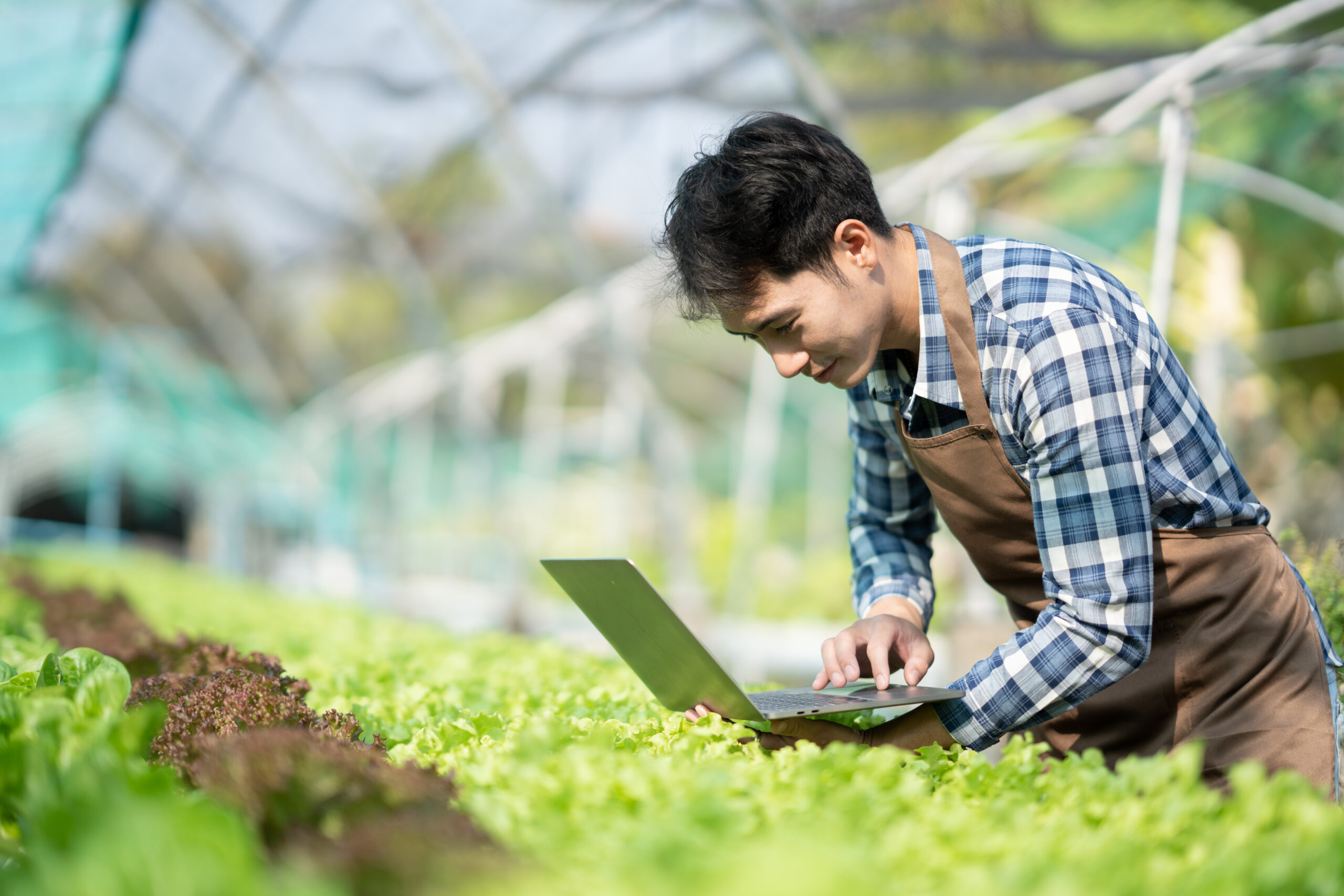 young adult using laptop in greenhouse 2026 09 23 01 49 02 utc scaled